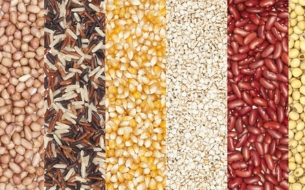 Granos,Cereales y Semillas