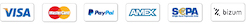 Paypal, Visa, Mastercard, American Express, Bizum, Transfeferencia bancaria